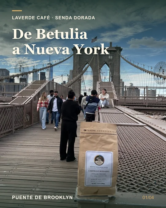 A bag of Senda Dorada Castillo Rosario coffee on the Brooklyn Bridge; Spanish caption: From Betulia to New York.