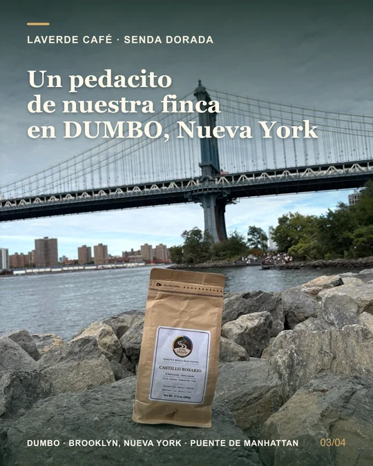 Senda Dorada coffee at Pebble Beach in DUMBO, Brooklyn; Spanish caption: A piece of our farm in DUMBO, New York.